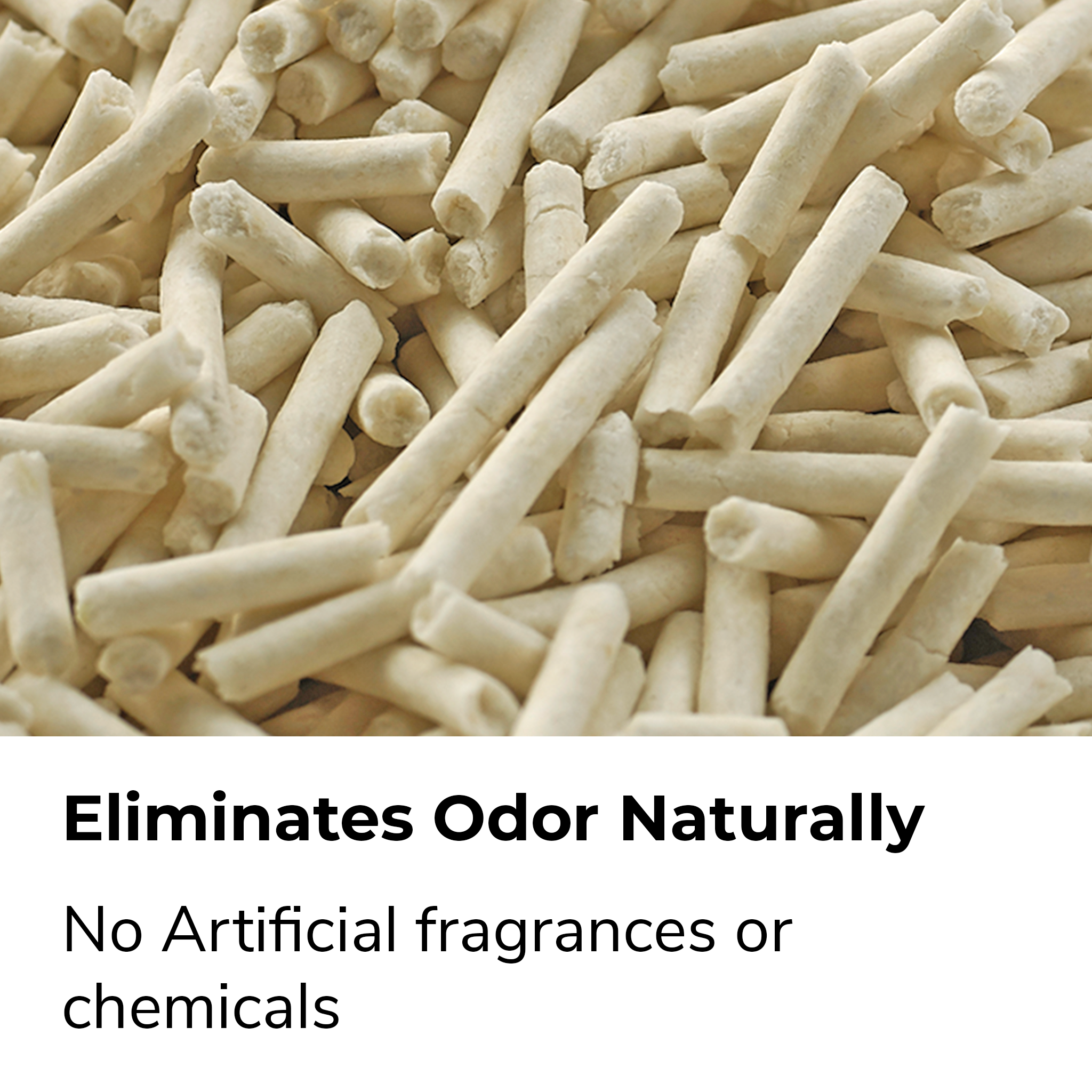 pea-based cat litter