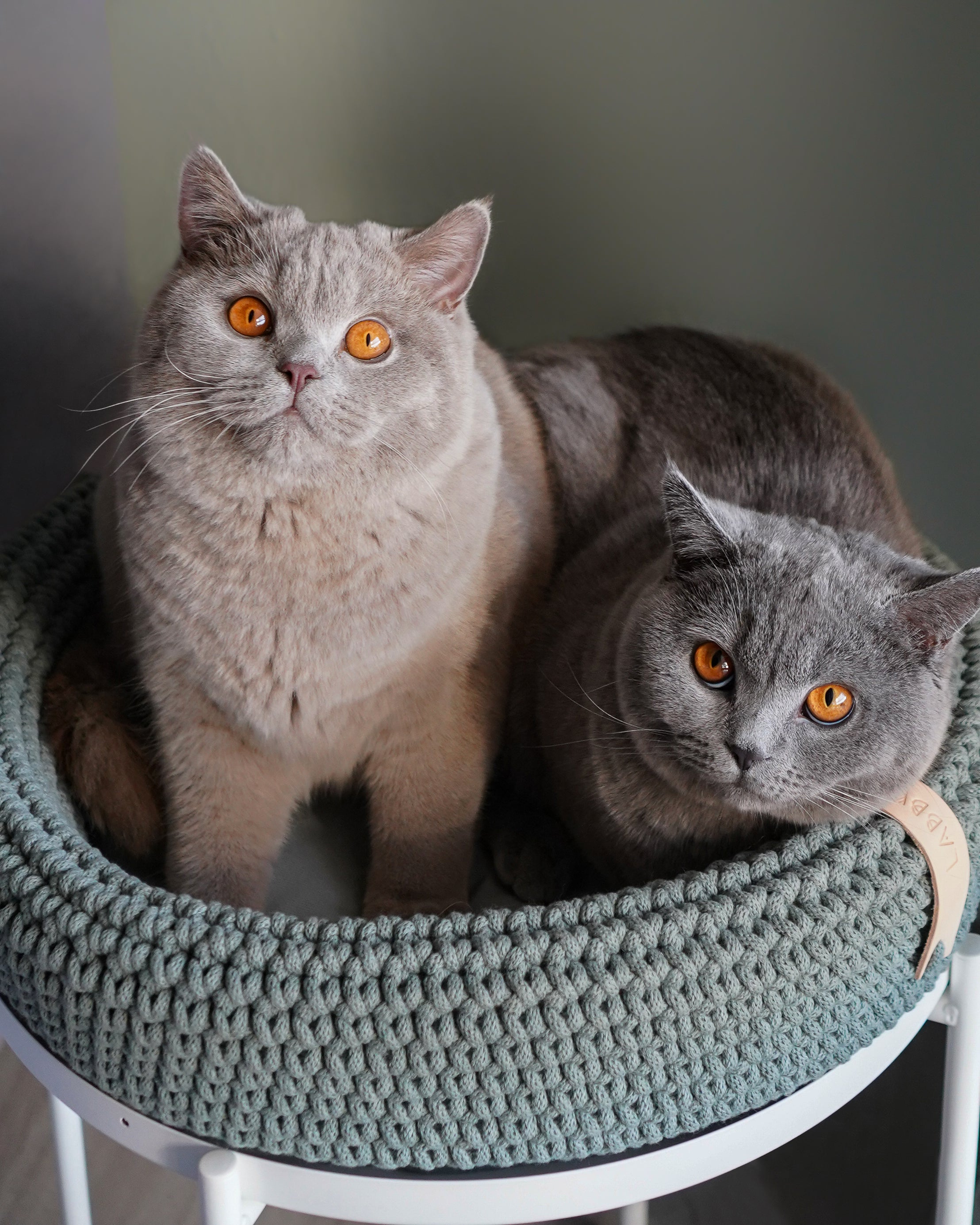 Handmade Cat Bed