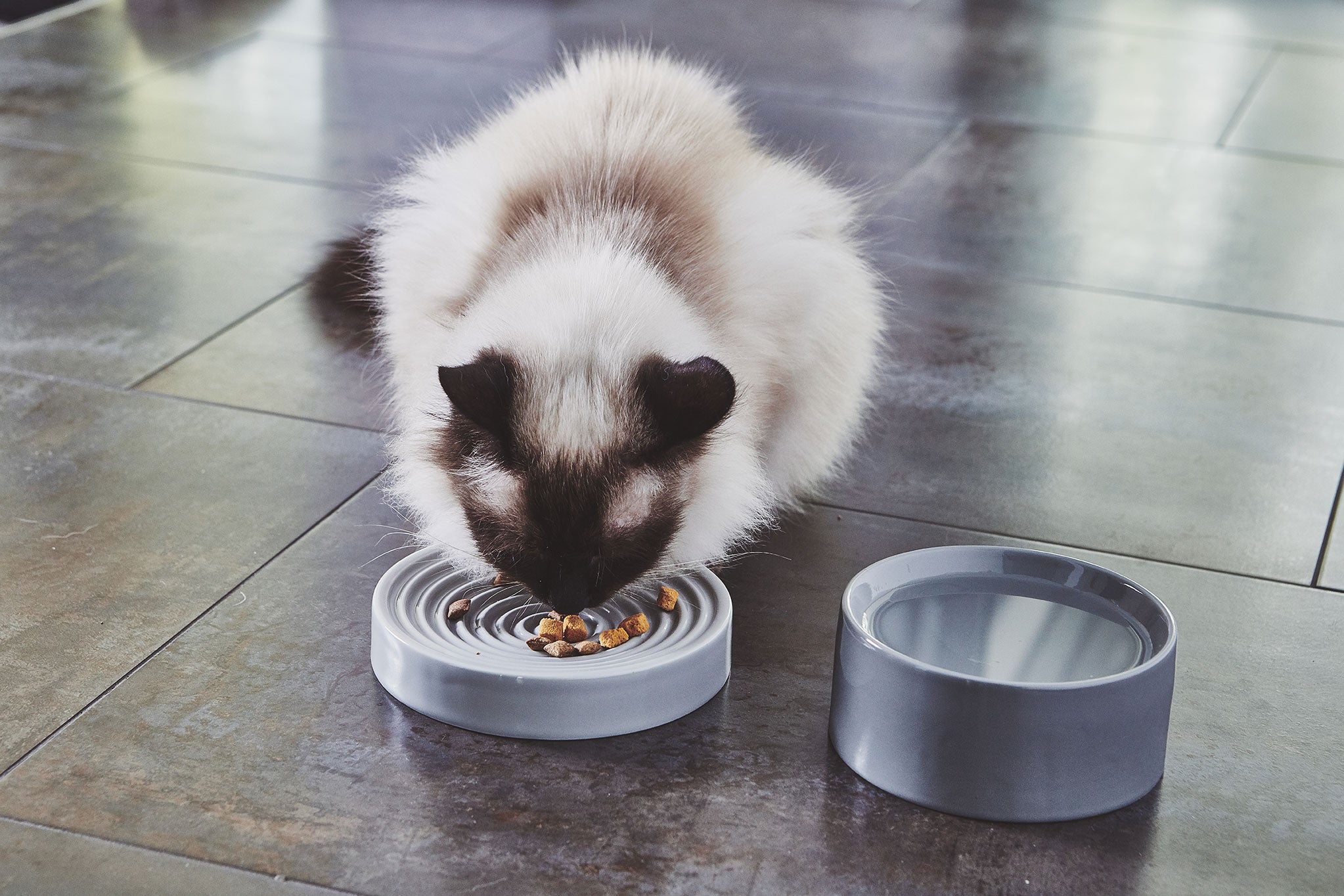 MiaCara Piatto Cat Bowl