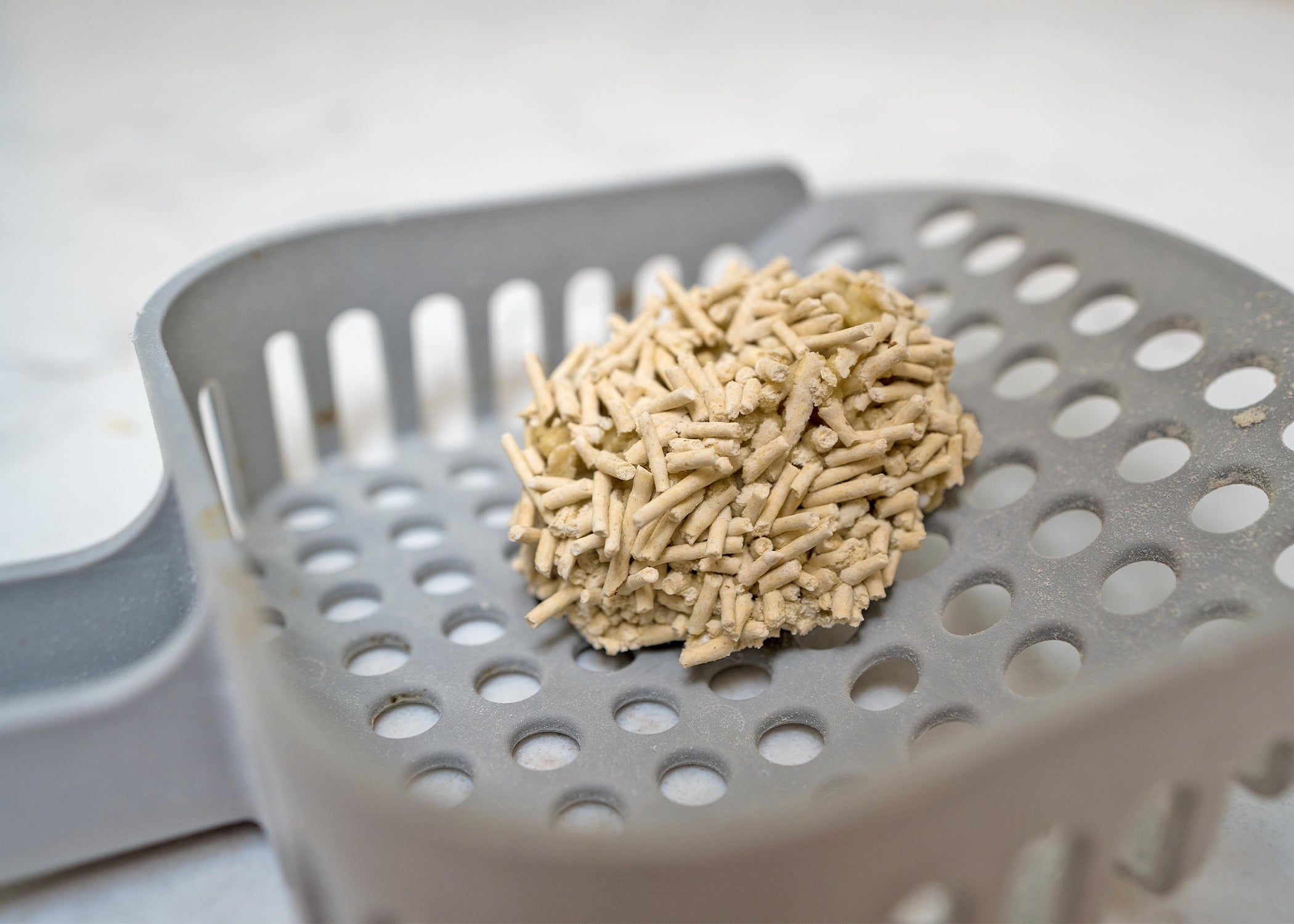 pidan tofu cat litter