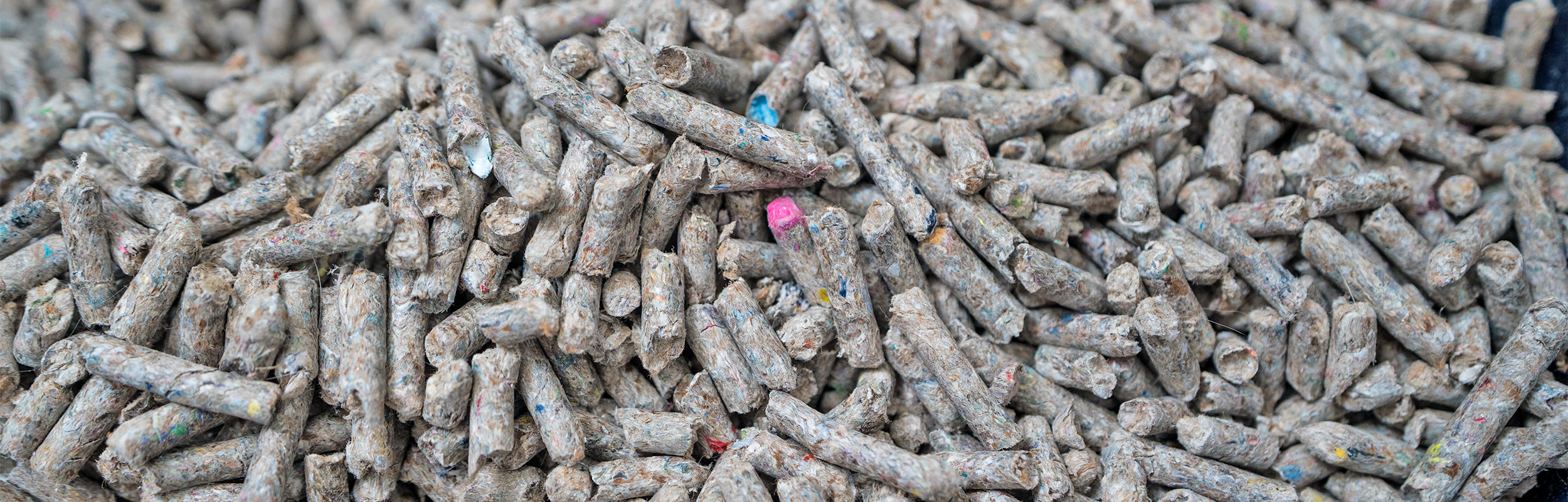 Guide to Every Cat Litter