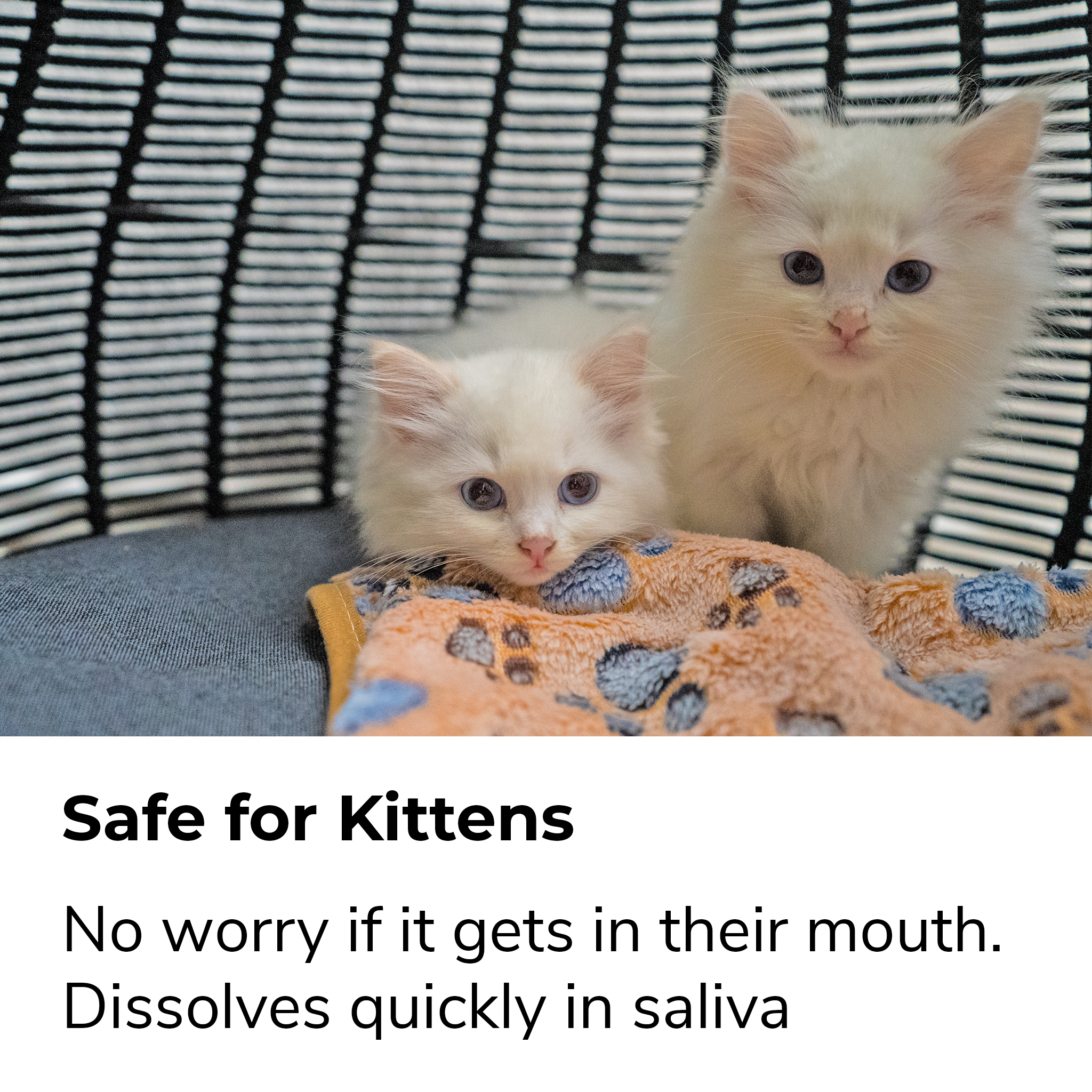 Pea-based Cat Litter