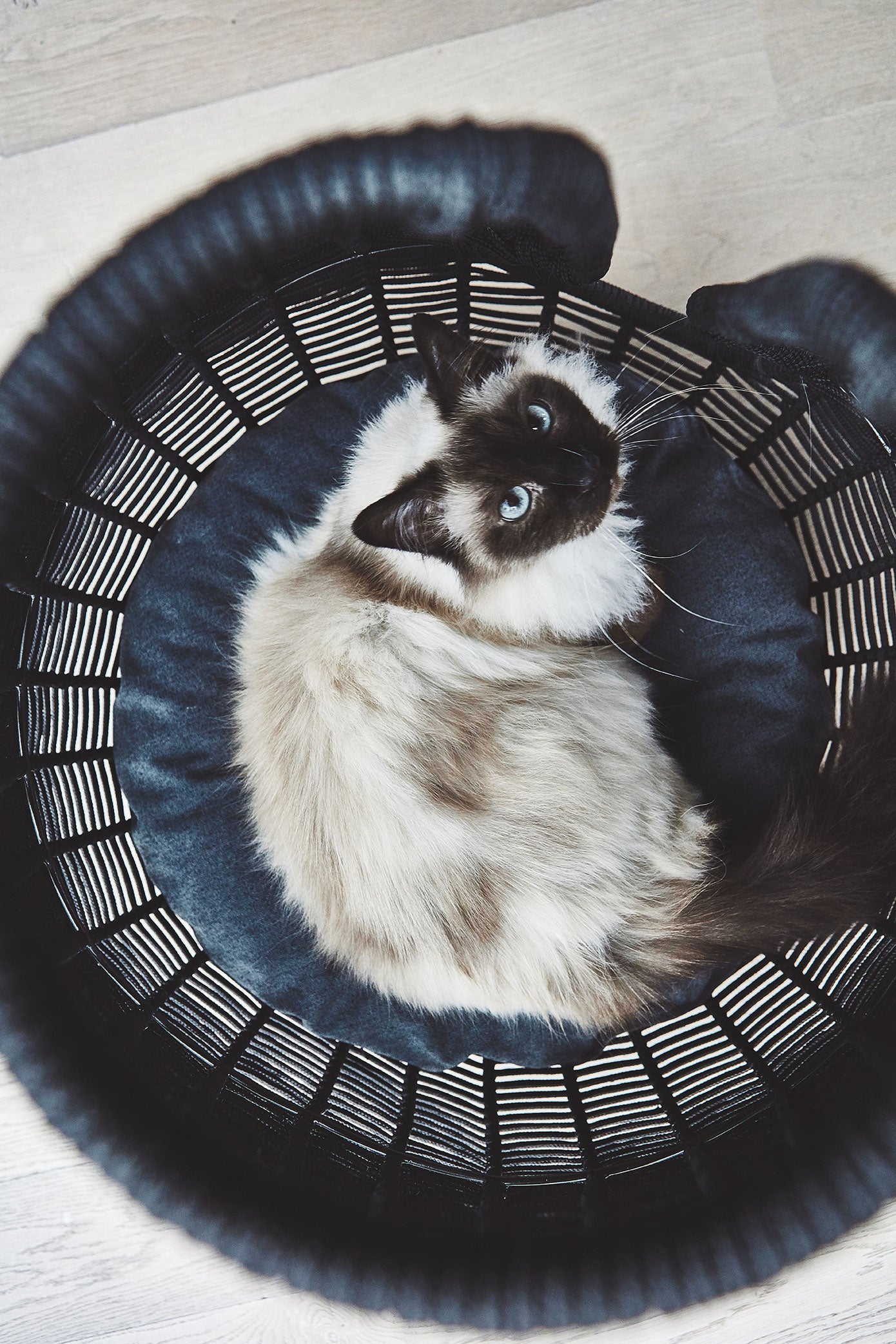 MiaCara Perla Cat Cave