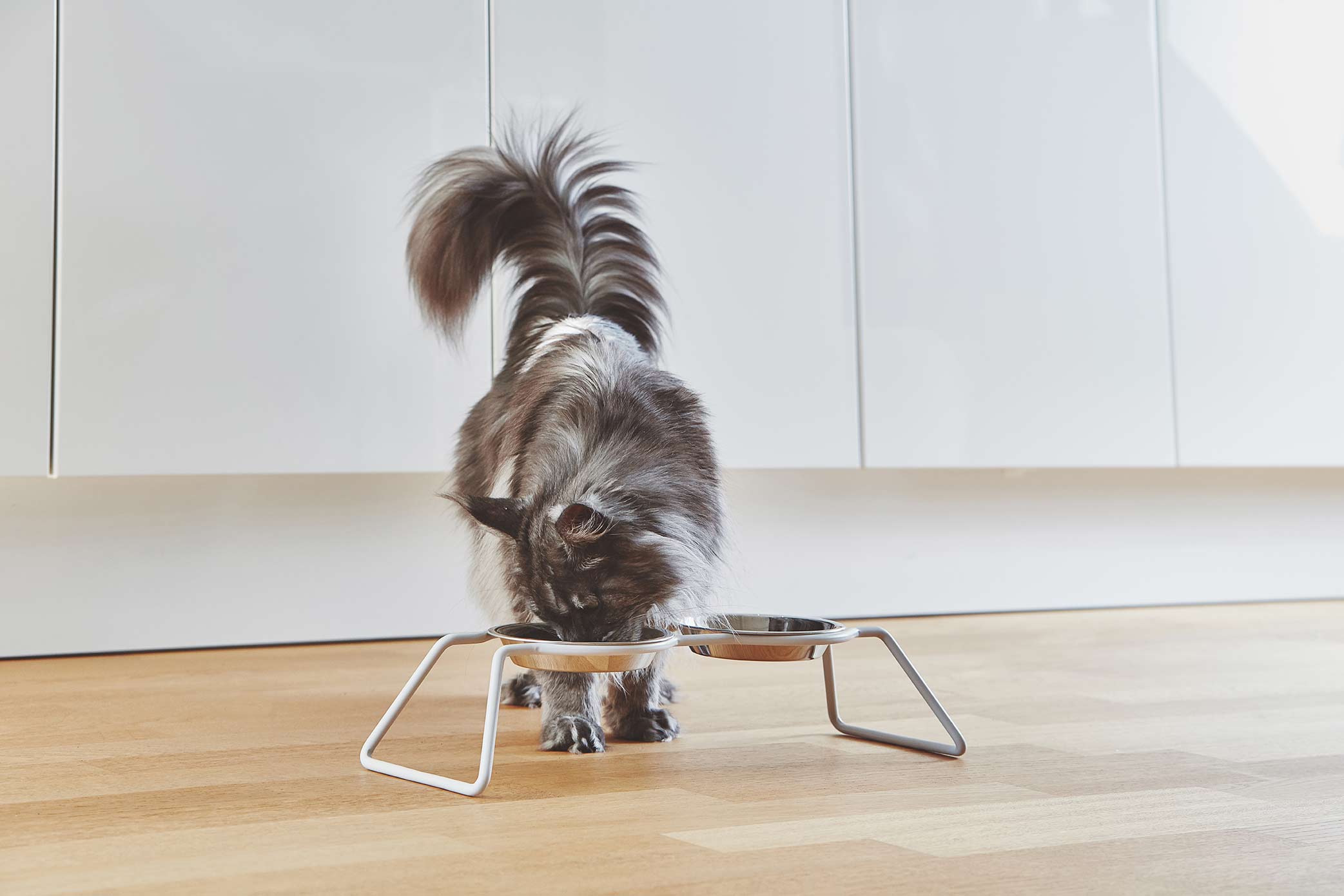 MiaCara Cena Cat Feeder